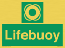 lifebuoy-with-symbol~